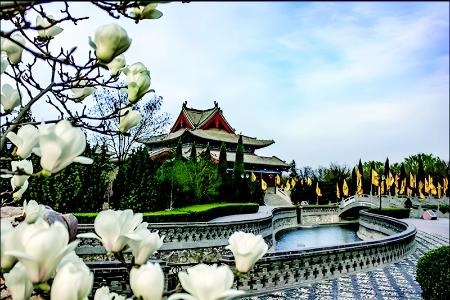           洪洞大槐树景区        