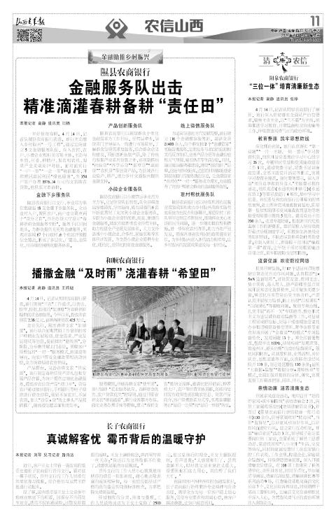 第11版