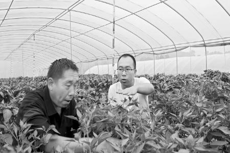           扎根乡土展现担当 图片由受访者提供        