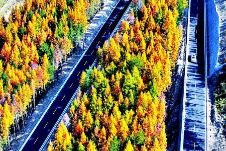           太行一号旅游公路五台山段 本版图片除署名外均为资料图片        